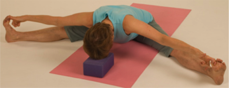 Yoga pose with block on mat