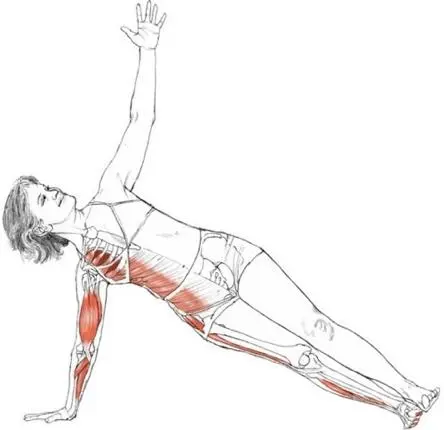 The Side Plank