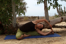Parivrtta Janu Sirsasana �2006 by Shannon Brophy align=